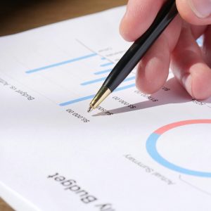 Financial Planning & Budget Advisory
