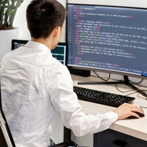 Remote Professional Support Hourly Package